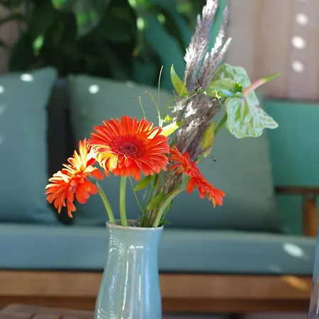 Hiska Na Skalci, The House On The Rock * Znojile pri Krki