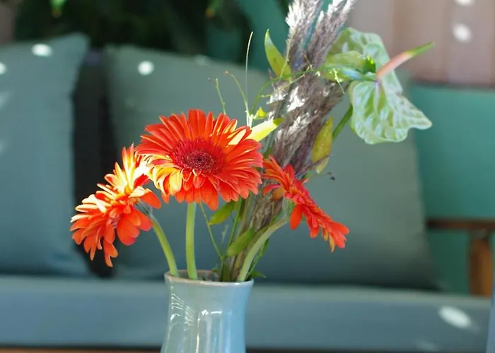 Hiska Na Skalci, The House On The Rock * Znojile pri Krki